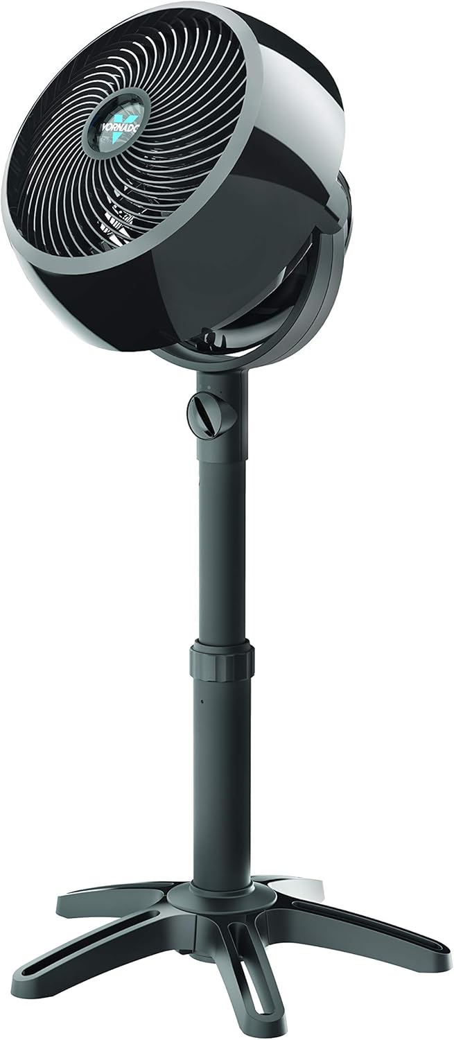 Pedestal Fan