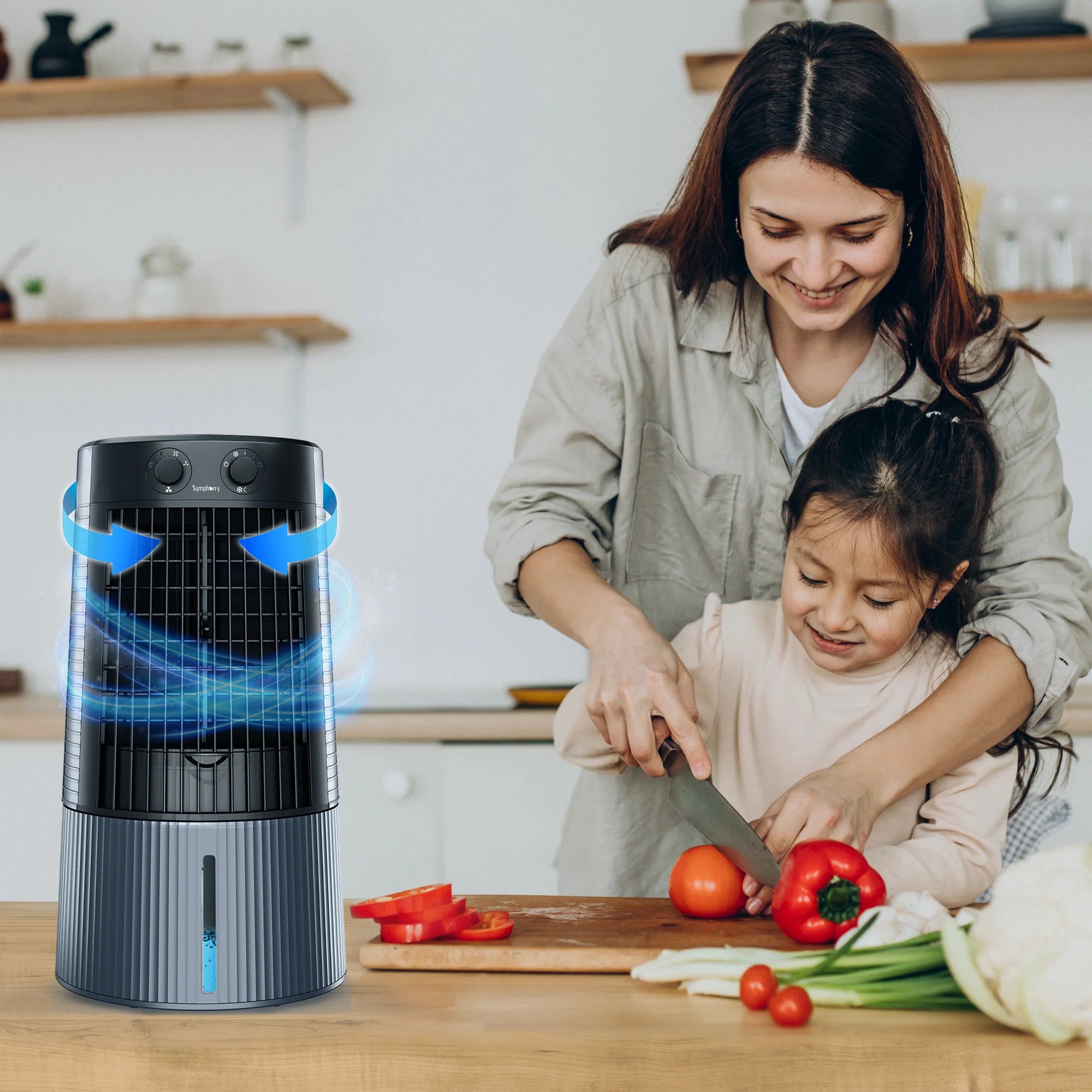 Symphony Duet i-S 2-in-1 Detachable Pedestal Evaporative Air Cooler & Fan - DUET-I-S